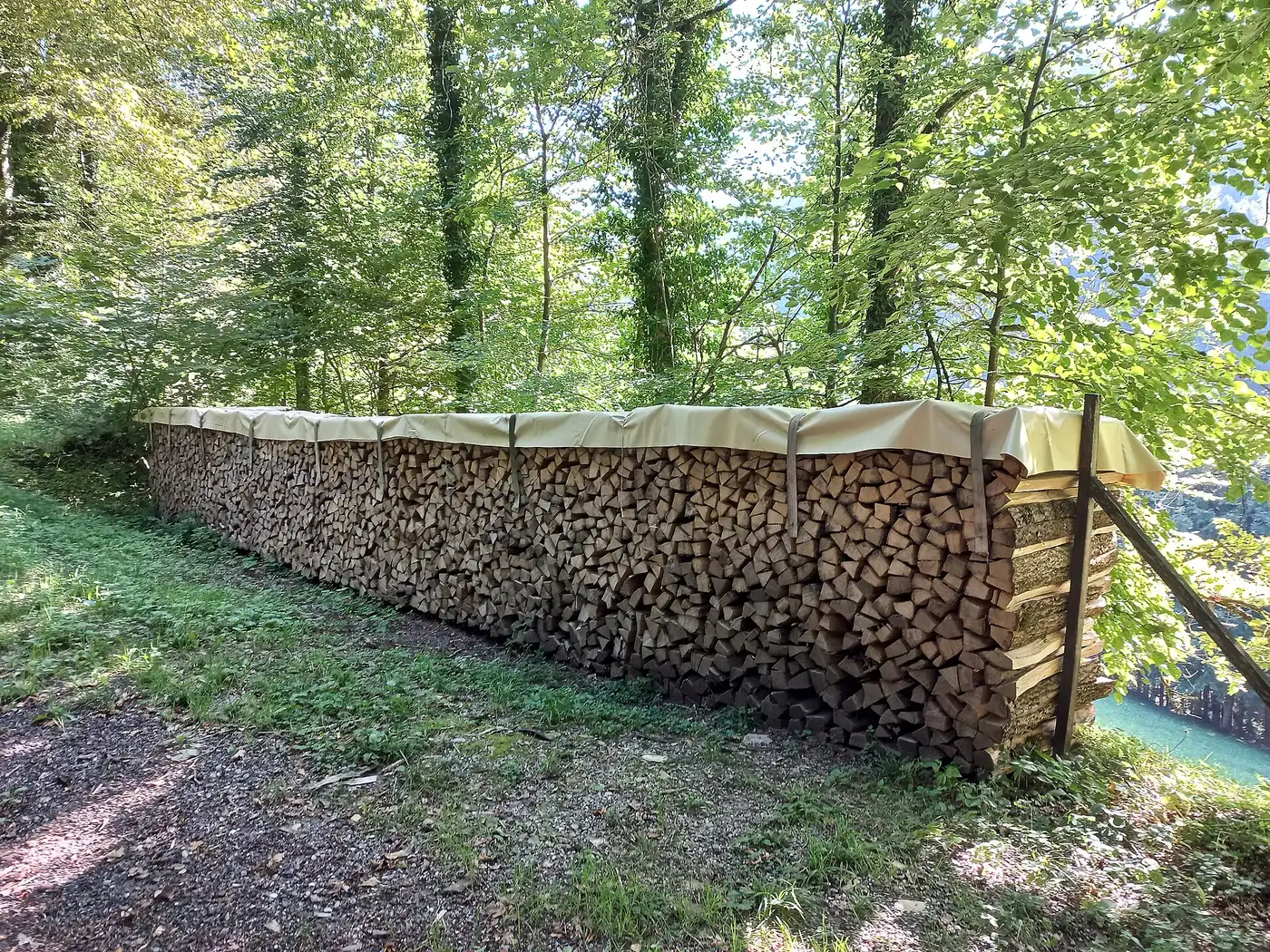 Langer Brennholzstapel am Waldrand